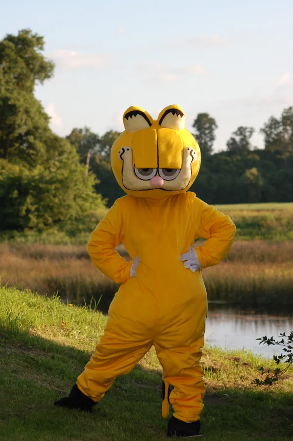 Garfields